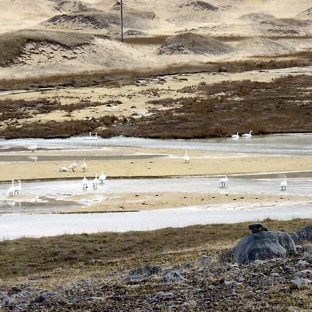 شقة Stekkar 23 Patreksfjordur المظهر الخارجي الصورة
