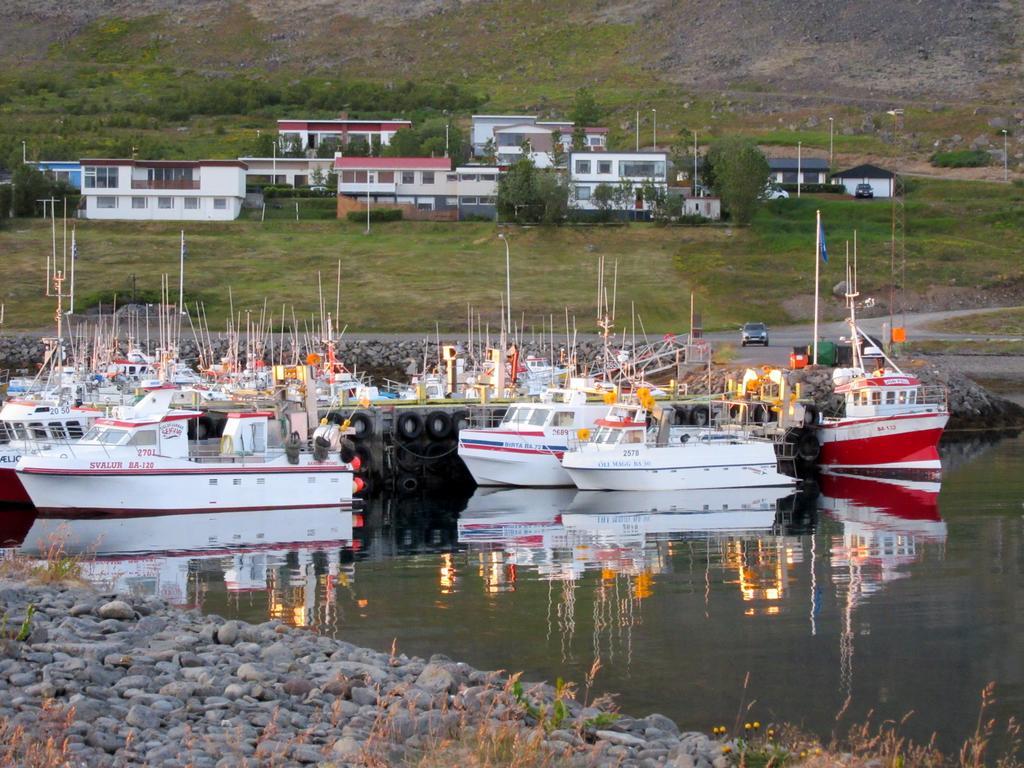 شقة Stekkar 23 Patreksfjordur المظهر الخارجي الصورة