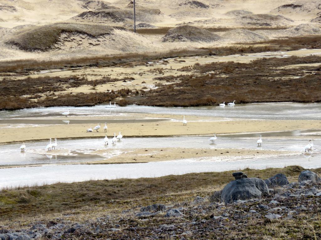 شقة Stekkar 23 Patreksfjordur المظهر الخارجي الصورة